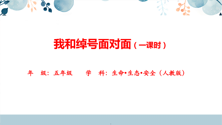 川教版五上生命生態(tài)安全第15課《我和綽號面對面》課件+配套教案.rar
