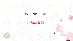 北師大版九下數學第三章小結與復習課件.ppt