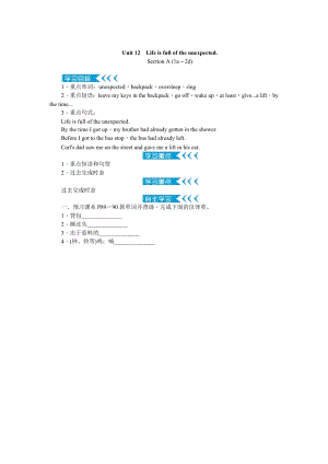 人教版九年級英語Unit12Lifeisfulloftheunexpected教案.doc