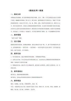 人教版五年級(jí)下冊(cè)美術(shù)《微觀世界》教案03.doc