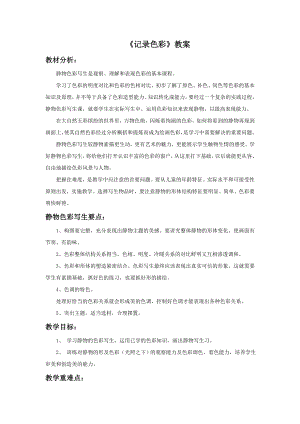 人教版六年級下冊美術《記錄色彩》教案.doc