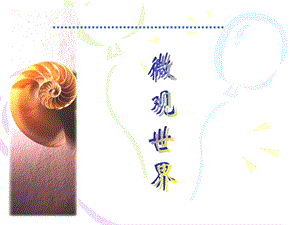 人教版五年級下冊美術微觀世界課件.ppt