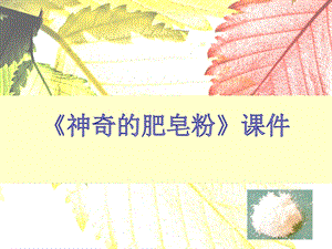 人教版五年級(jí)下冊(cè)美術(shù)神奇的肥皂粉課件02.ppt