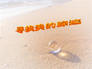 人教版六年級(jí)下冊(cè)美術(shù)尋找美的蹤跡課件.ppt