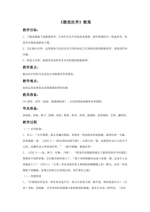 人教版五年級下冊美術《微觀世界》教案02.doc