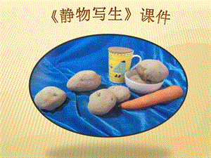 人教版五年級(jí)下冊(cè)美術(shù)《靜物寫生》課件03.ppt