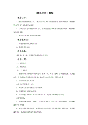 人教版五年級下冊美術(shù)《微觀世界》教案.doc