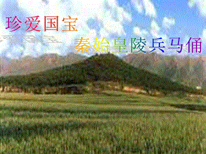 人教版四年級(jí)下冊(cè)美術(shù)《珍愛國(guó)寶——秦始皇陵及秦兵馬俑》課件2.ppt