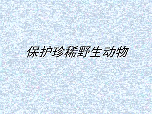 人教版三年級下冊美術《保護珍稀野生動物》課件.ppt