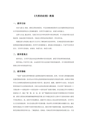 人教版三年級上冊美術(shù)天然的紋理教案1.doc