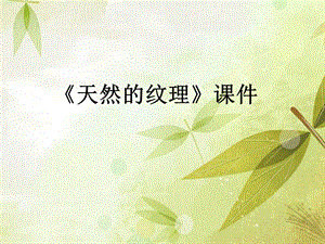 人教版三年級(jí)上冊(cè)美術(shù)《天然的紋理》課件2.ppt