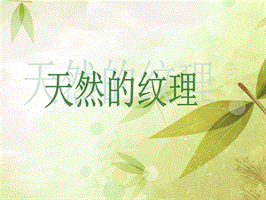 人教版三年級(jí)上冊(cè)美術(shù)《天然的紋理》課件.ppt