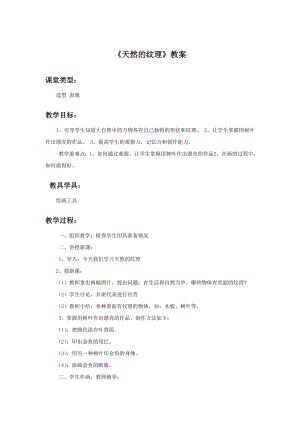 人教版三年級(jí)上冊(cè)美術(shù)《天然的紋理》教案2.doc