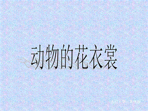 人教版三年級下冊美術《動物的花衣裳》課件.ppt