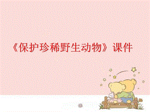 人教版三年級下冊美術《保護珍稀野生動物》課件1.ppt