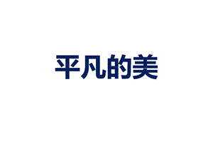 人教版四年級(jí)下冊(cè)美術(shù)《平凡的美》課件.ppt