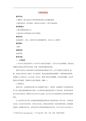 人教版三年級上冊美術(shù)第5課天然的斑紋教案1.doc