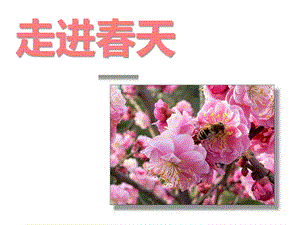 人教版四年級下冊美術《走進春天》課件.ppt
