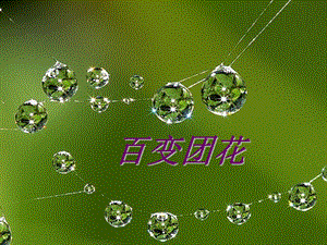 人美版二年級上冊美術《百變團花》課件2.ppt