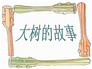 人美版二年級上冊美術《大樹的故事》課件2.ppt