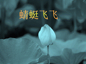 人教版二年級上冊美術《蜻蜓飛飛》課件2.ppt
