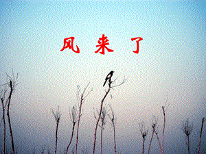 人教版二年級上冊美術(shù)《風(fēng)來了》課件2.ppt