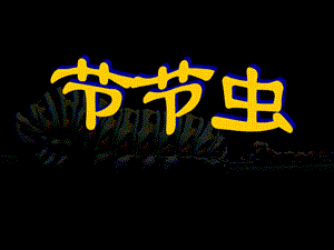 人美版二年級下冊美術節節蟲課件2.ppt