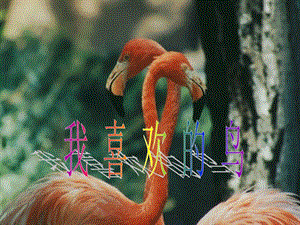 人美版二年級下冊美術《我喜歡的鳥》課件2.ppt