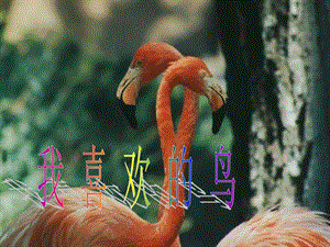 人美版二年級(jí)下冊(cè)美術(shù)《我喜歡的鳥》課件1.ppt