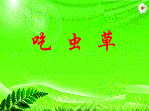 人美版二年級下冊美術(shù)《吃蟲草》課件2.ppt