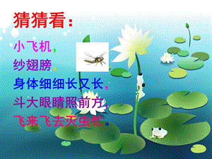 人教版二年級上冊美術《蜻蜓飛飛》課件3.ppt