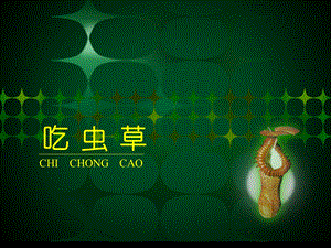 人美版二年級下冊美術(shù)《吃蟲草》課件1.ppt
