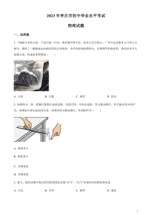 2023年山東省棗莊市中考物理試題（原卷版）.docx