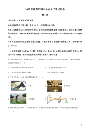 2023年湖南省衡陽市中考物理試題（原卷版）.docx