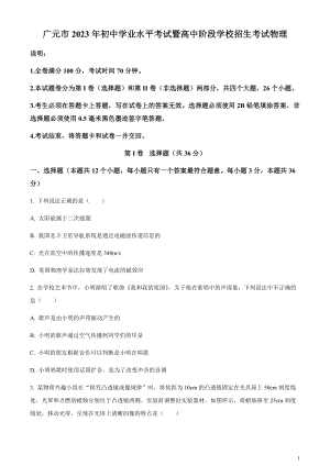 2023年四川省廣元市中考物理試題（原卷版）.docx