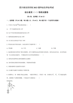 2023年四川省自貢市中考物理試題（原卷版）.docx