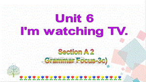 人教版七年級下冊英語Unit6SectionA(GrammarFocus-3c)課件.ppt