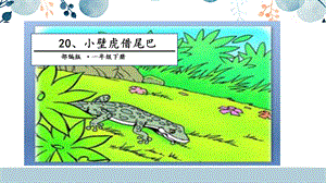人教部編版一年級下冊語文20.小壁虎借尾巴 課件.pptx