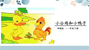 人教部編版一年級(jí)下冊(cè)語(yǔ)文4.小公雞和小鴨子課件.pptx