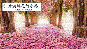 人教部編版二年級下冊語文3開滿鮮花的小路.第一課時(shí)課件.pptx