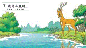 人教部編版三年級下冊語文7鹿角和鹿腿.第一課時課件.pptx