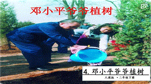 人教部編版二年級下冊語文4鄧小平爺爺植樹.第一課時課件.pptx