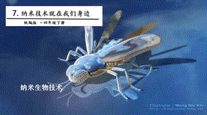 人教部編版四年級(jí)下冊語文7.納米技術(shù)就在我們身邊第一課時(shí)課件.pptx