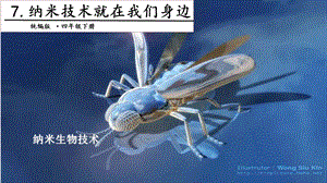 人教部編版四年級(jí)下冊語文7.納米技術(shù)就在我們身邊第二課時(shí)課件.pptx