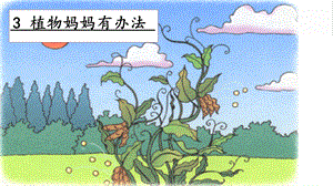 人教部編版二年級上冊語文3植物媽媽有辦法課件.pptx