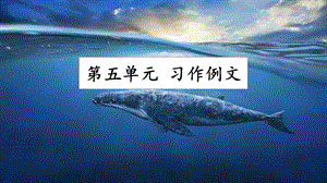 人教部編版五年級上冊語文習(xí)作例文課件.pptx