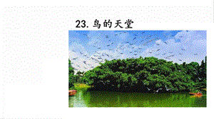 人教部編版五年級上冊語文23.鳥的天堂課件.pptx
