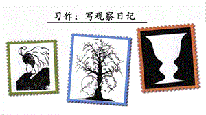 人教部編版四年級上冊語文習(xí)作：寫觀察日記 課件.pptx