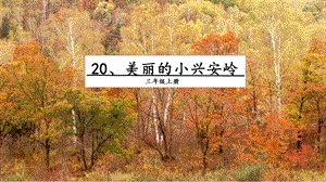 人教部編版三年級上冊語文20美麗的小興安嶺課件.pptx