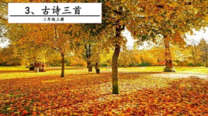 人教部編版三年級上冊語文4古詩三首課件.pptx